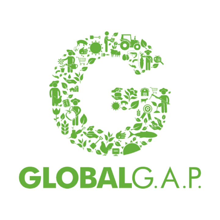 Global-gap2